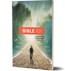 The Bible 101 book