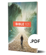 The Bible 101 pdf