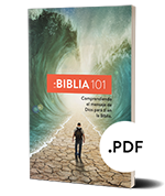 The Bible 101 pdf